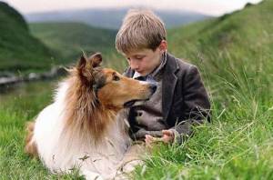 Pal-from-lassie